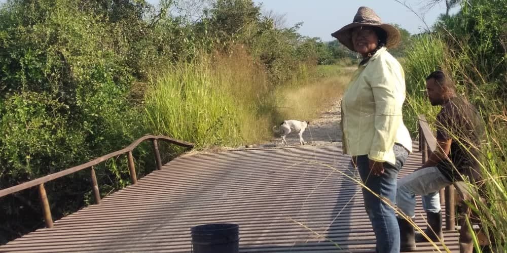 producción de carne