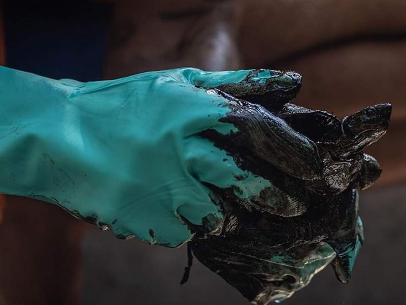 Nuevo modelo petrolero prioriza ganancias y amenaza ecosistemas, alertan ambientalistas