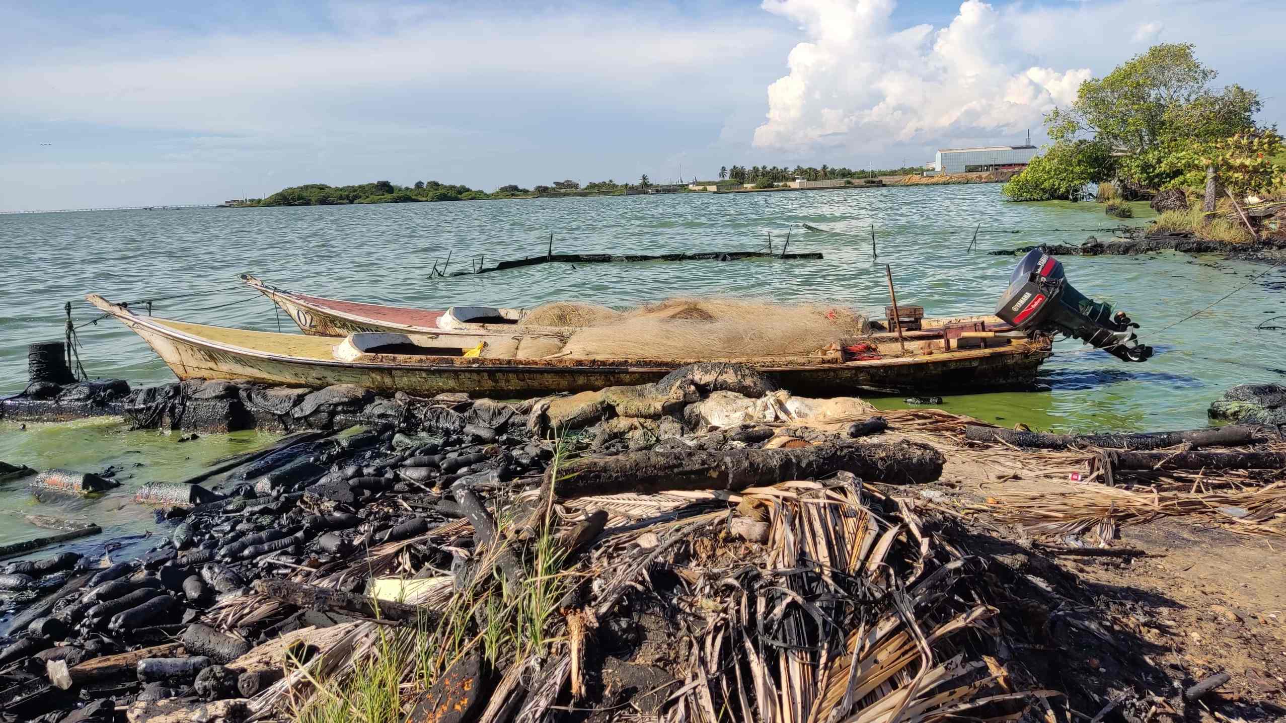 Caza incidental amenaza a las toninas en El Lago de Maracaibo y la Orinoquía