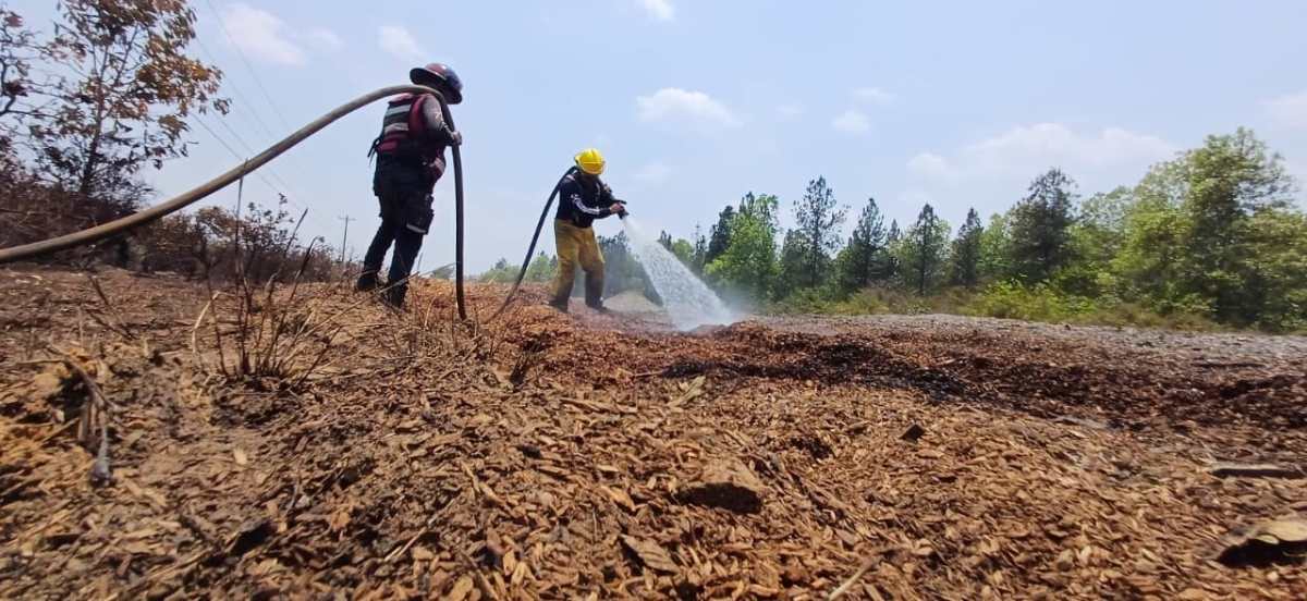 incendio uverito monagas