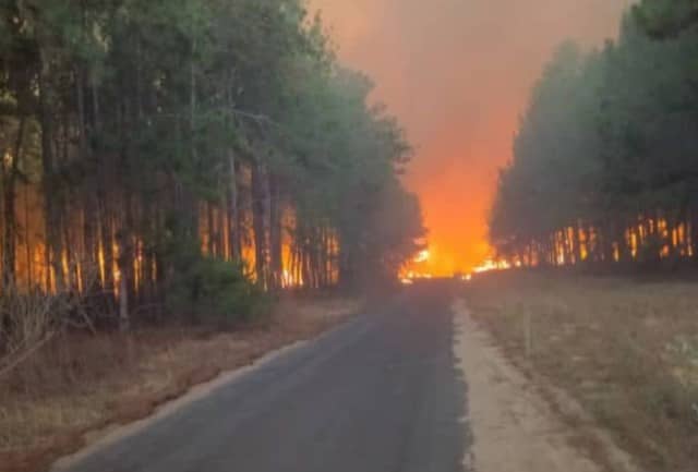 Alertan sobre impacto climático por incendios en zonas de reserva forestal en Monagas