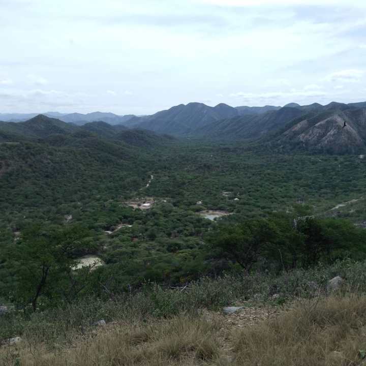 En la sabana de Carora los micro desiertos se han ampliado por todo el territorio. Argumentan que se debe al cambio climático. 