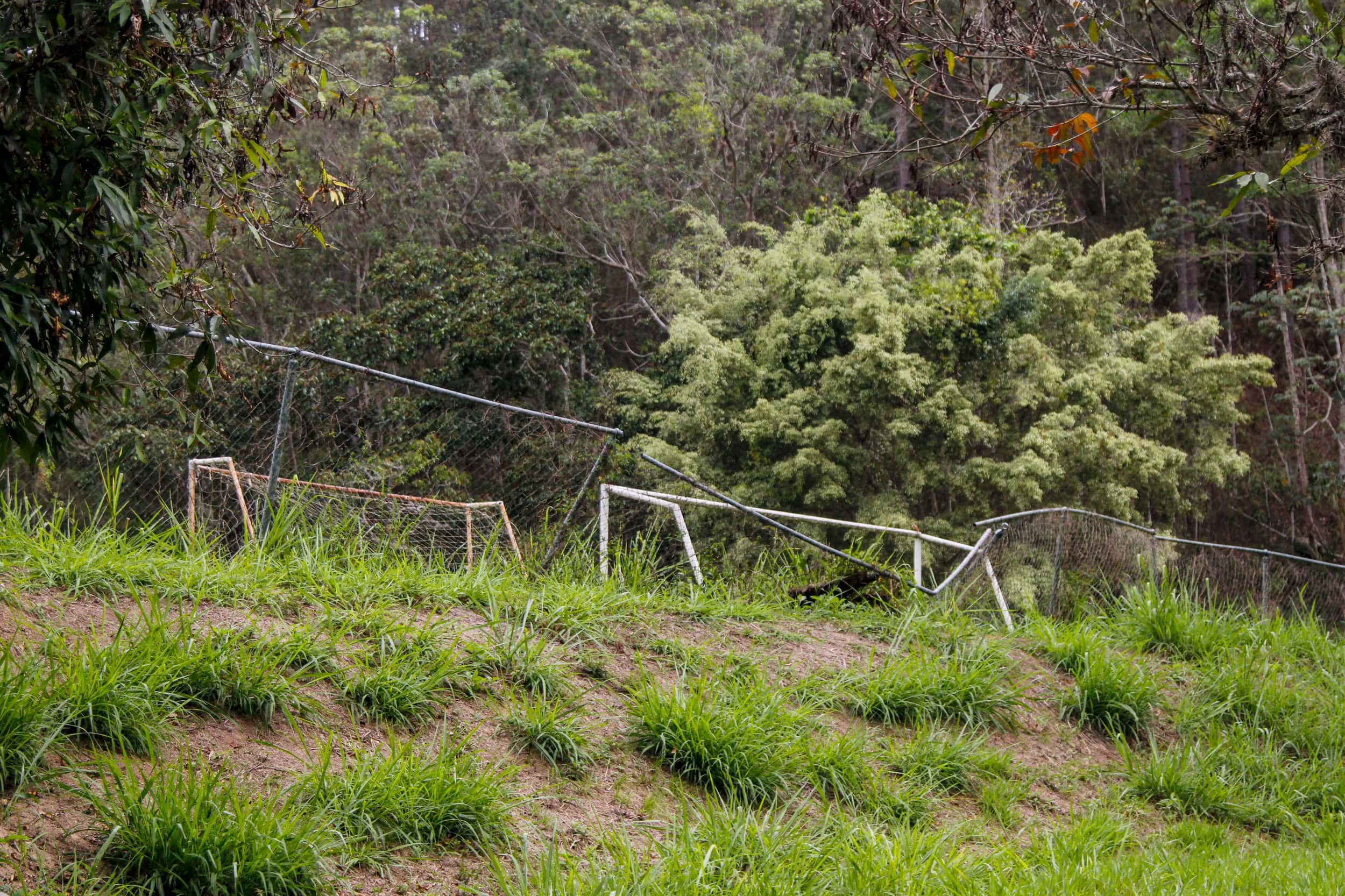 la universidad, simón bolívar, cancha, abandono
