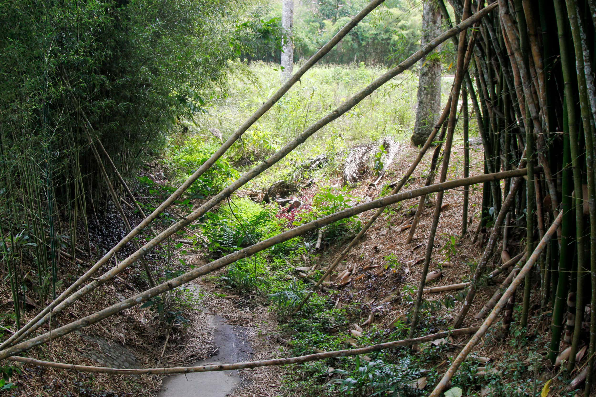 la universidad, simón bolívar, abandono, sin mantenimiento