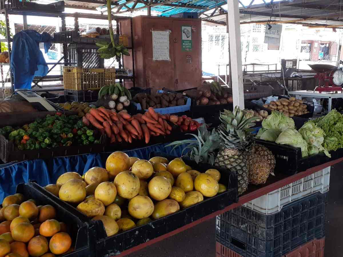 Costo de la canasta alimentaria en Bolívar reduce consumo de alimentos básicos en guayaneses