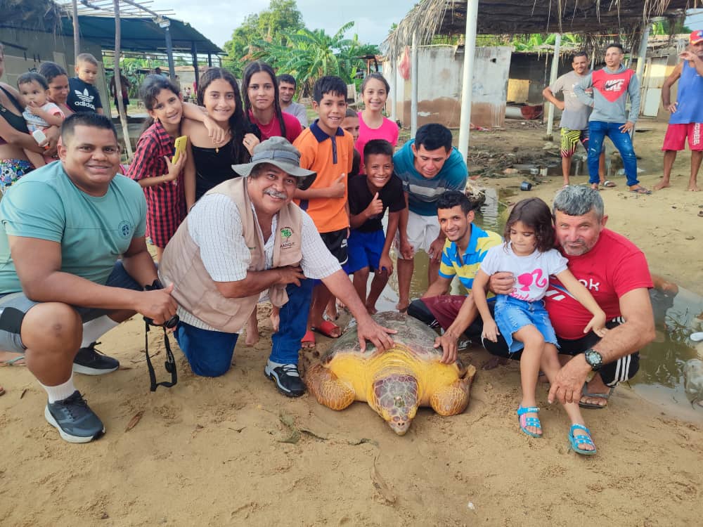 Rescate tortuga en Zulia
