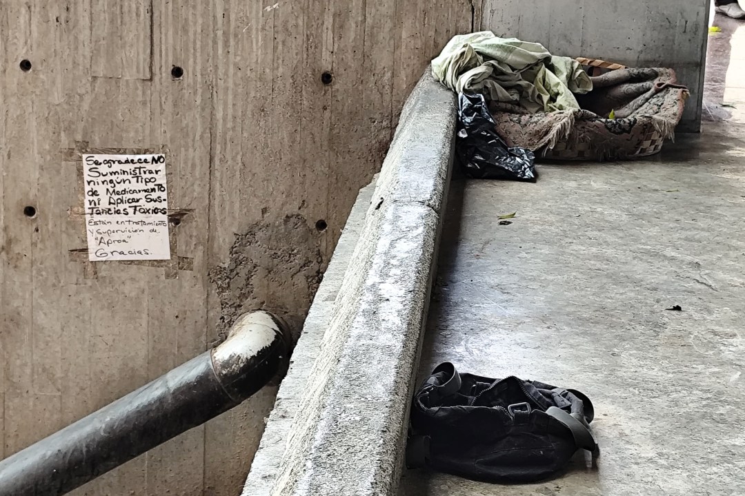 Gatos en la calle, abandono