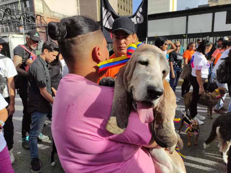 el maduro