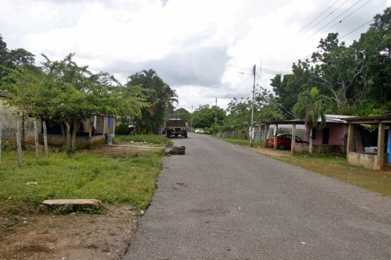 Infectólogos advierten que se necesita inmunizar a 15 millones de venezolanos contra la fiebre amarilla