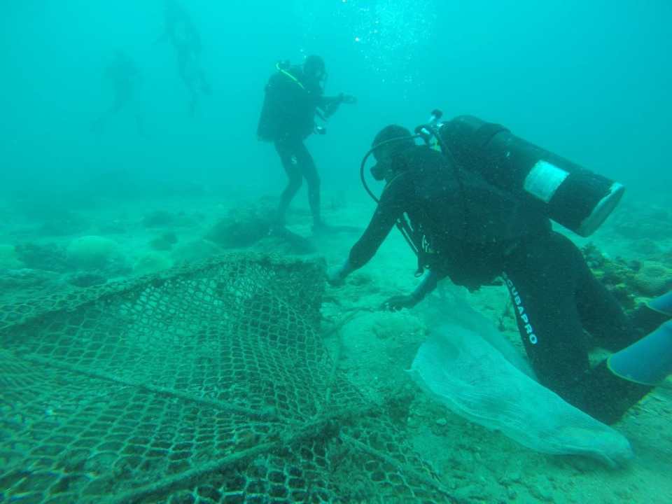 Limpieza de costas, playas
