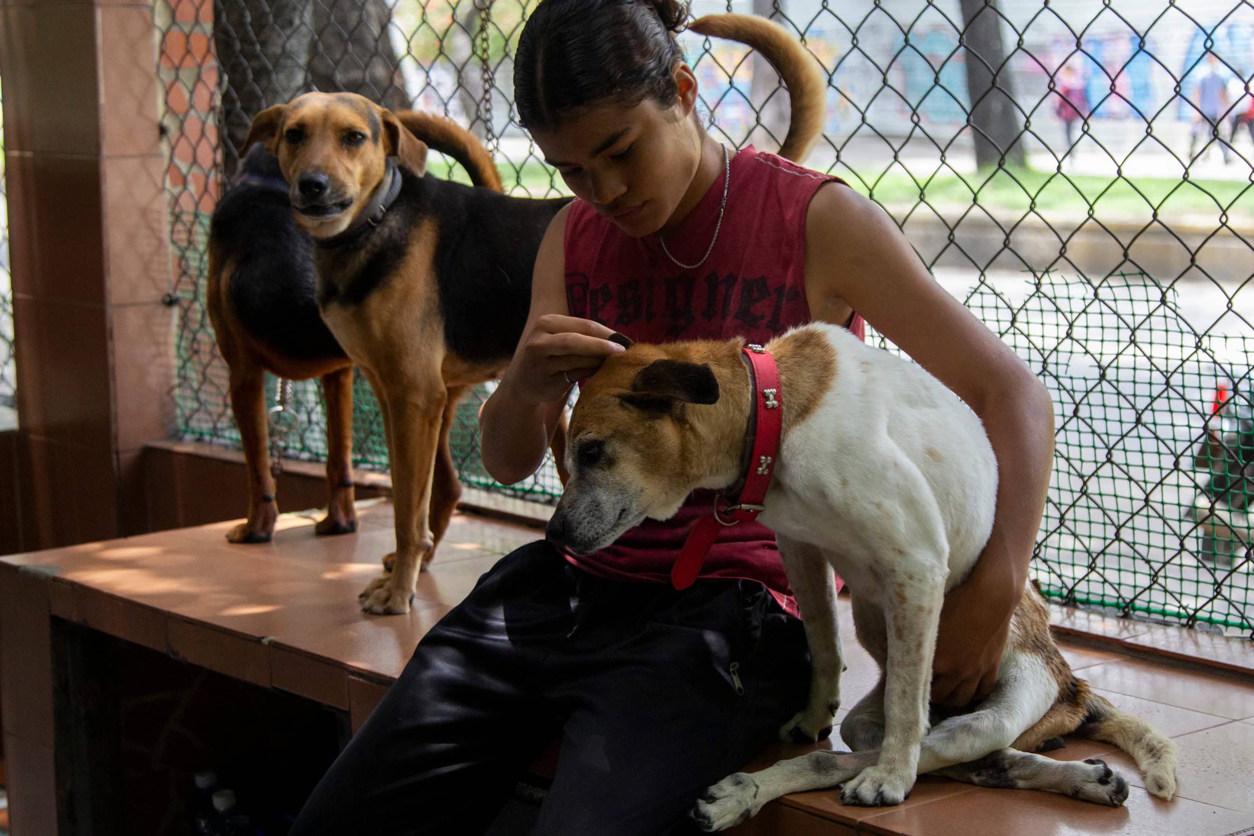 agresión sexual, refugio El Valle 