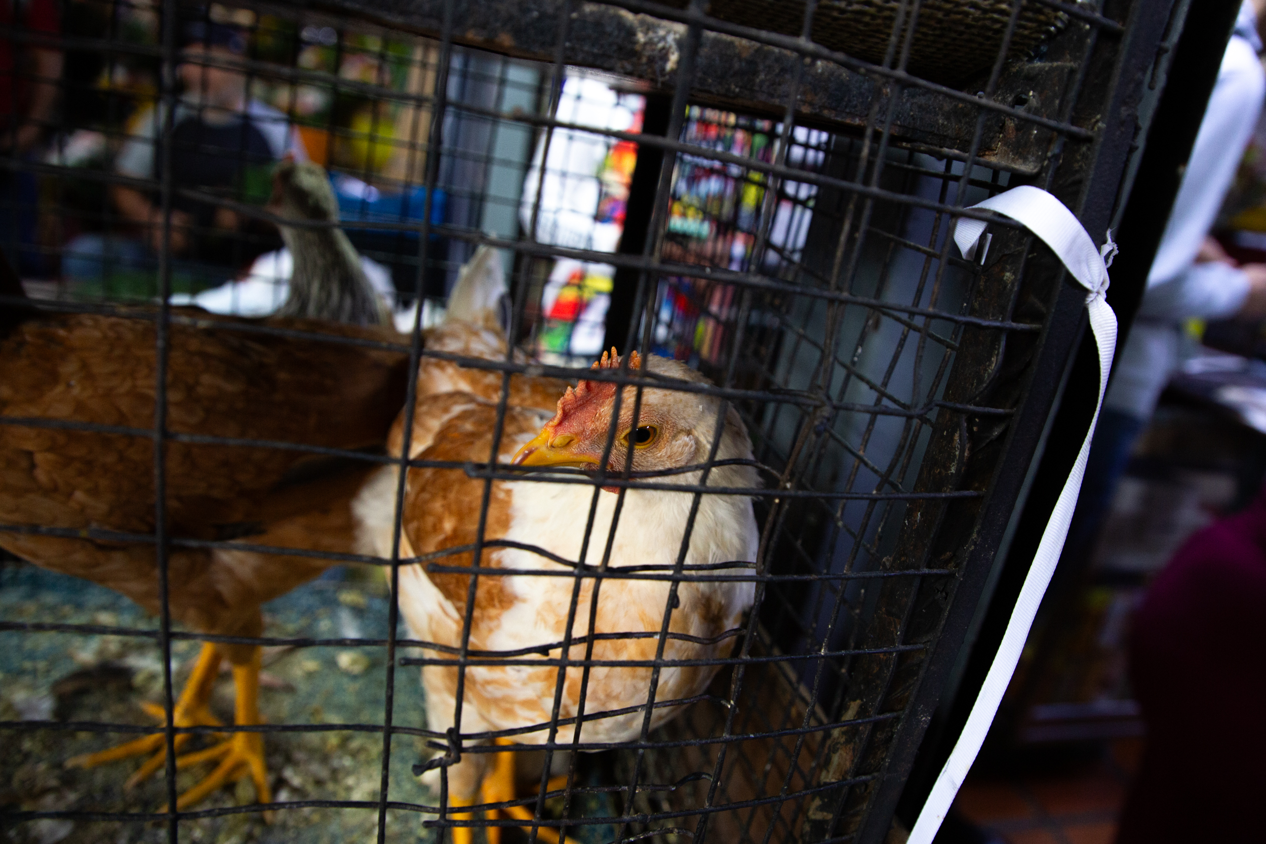 Fotografía: Christian Mijares