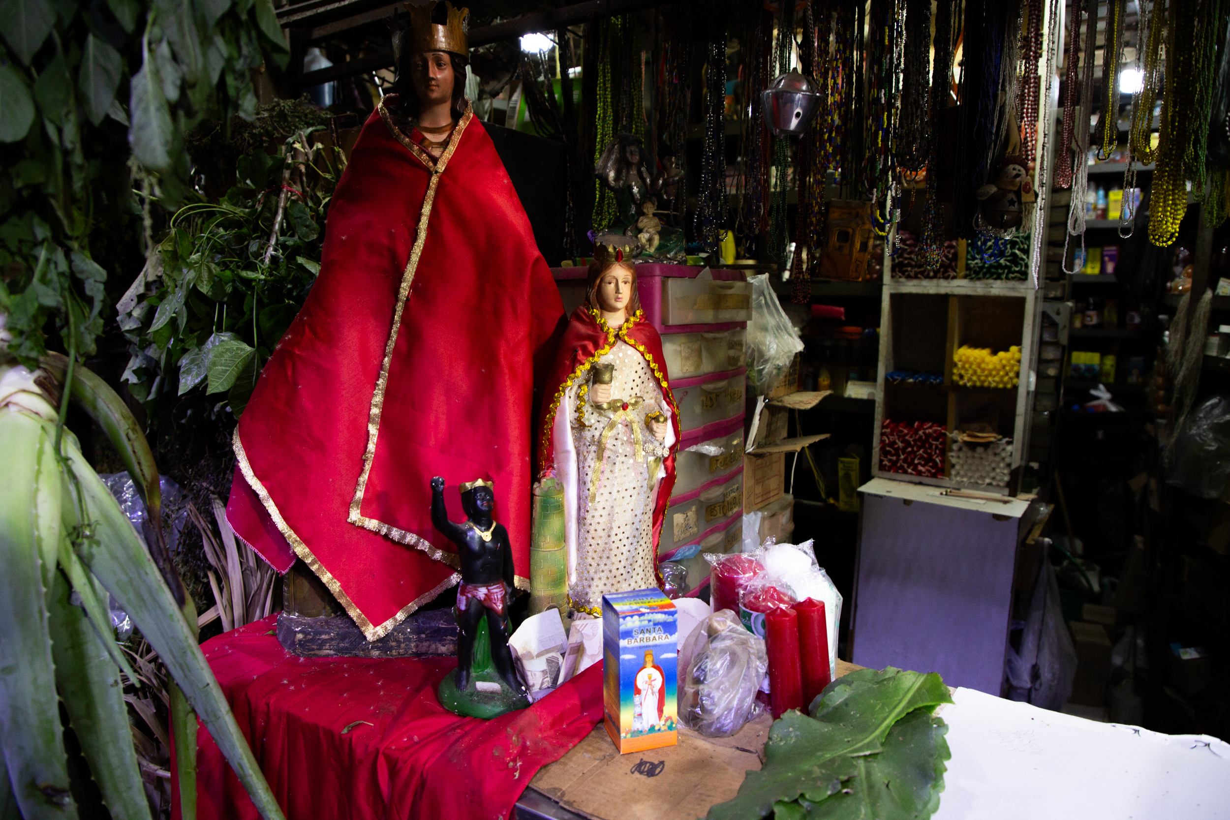 Fotografía: Christian Mijares