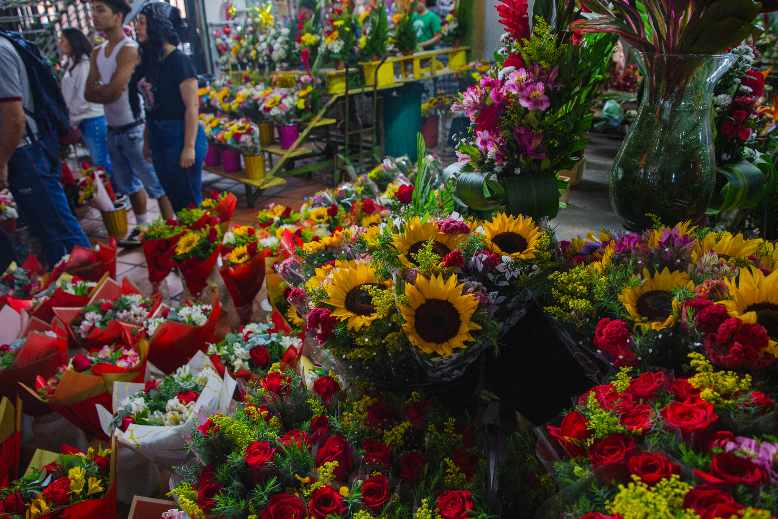 Fotografía: Christian Mijares