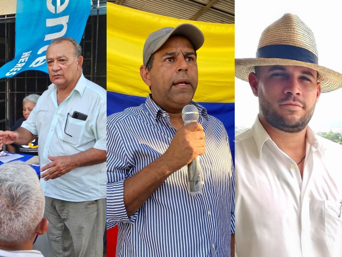 Sebin detuvo a tres dirigentes políticos opositores en Bolívar 