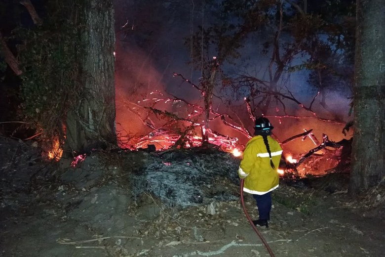 Incendios forestales y de vegetación en Bolívar registró un incremento en marzo de 2025