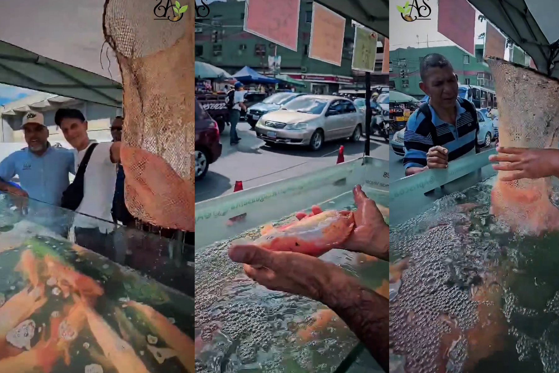 En plena calle de Catia florece la venta de pescado recién salido del agua 
