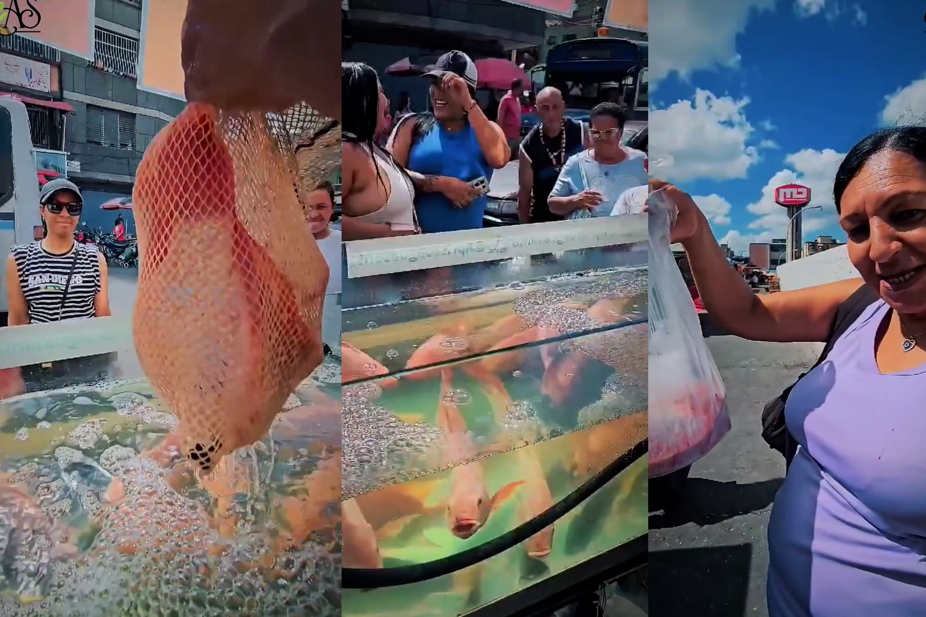 En plena calle de Catia florece la venta de pescado recién salido del agua 