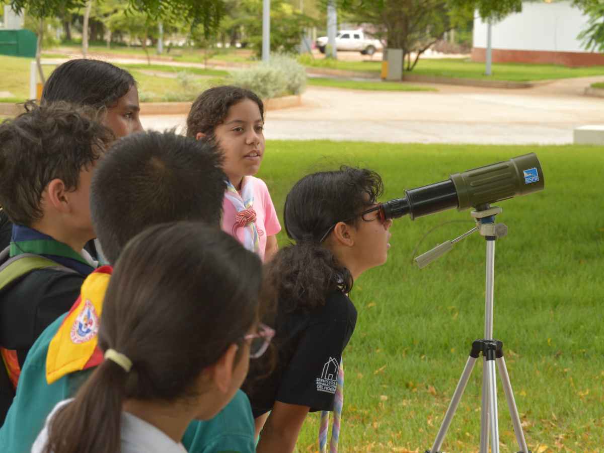 Escuela de aves Maracaibo