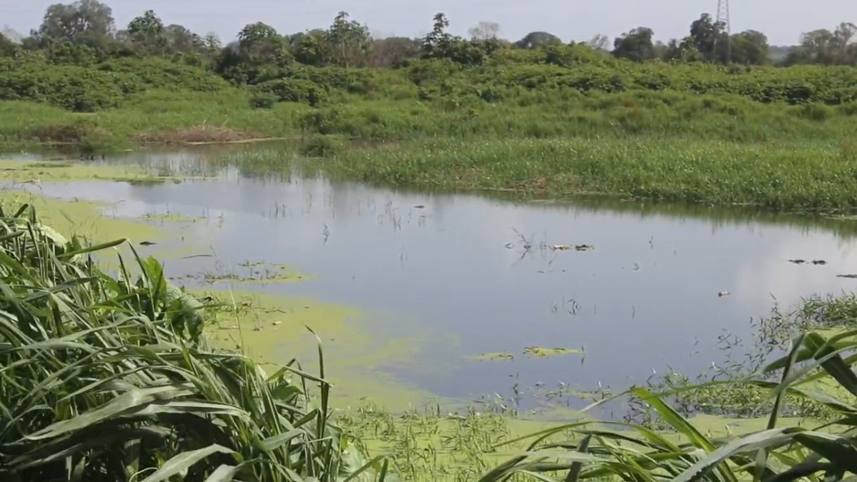 “El agua nos ha sacado varias veces”: Crecida del Caroní revive el temor en Los Oleandros
