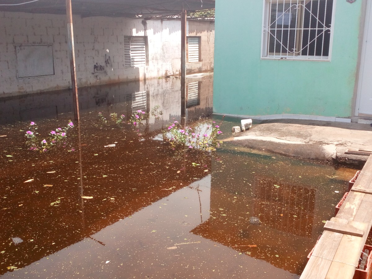 Crecida del Orinoco evidencia el olvido de 40 años de planificación en Guayana