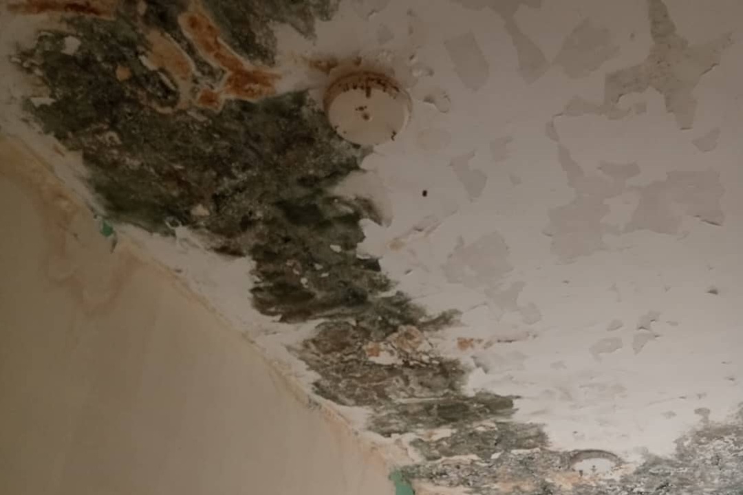 Abandono estadal pone en riesgo continuidad de UEN Dr. Columbo Silva