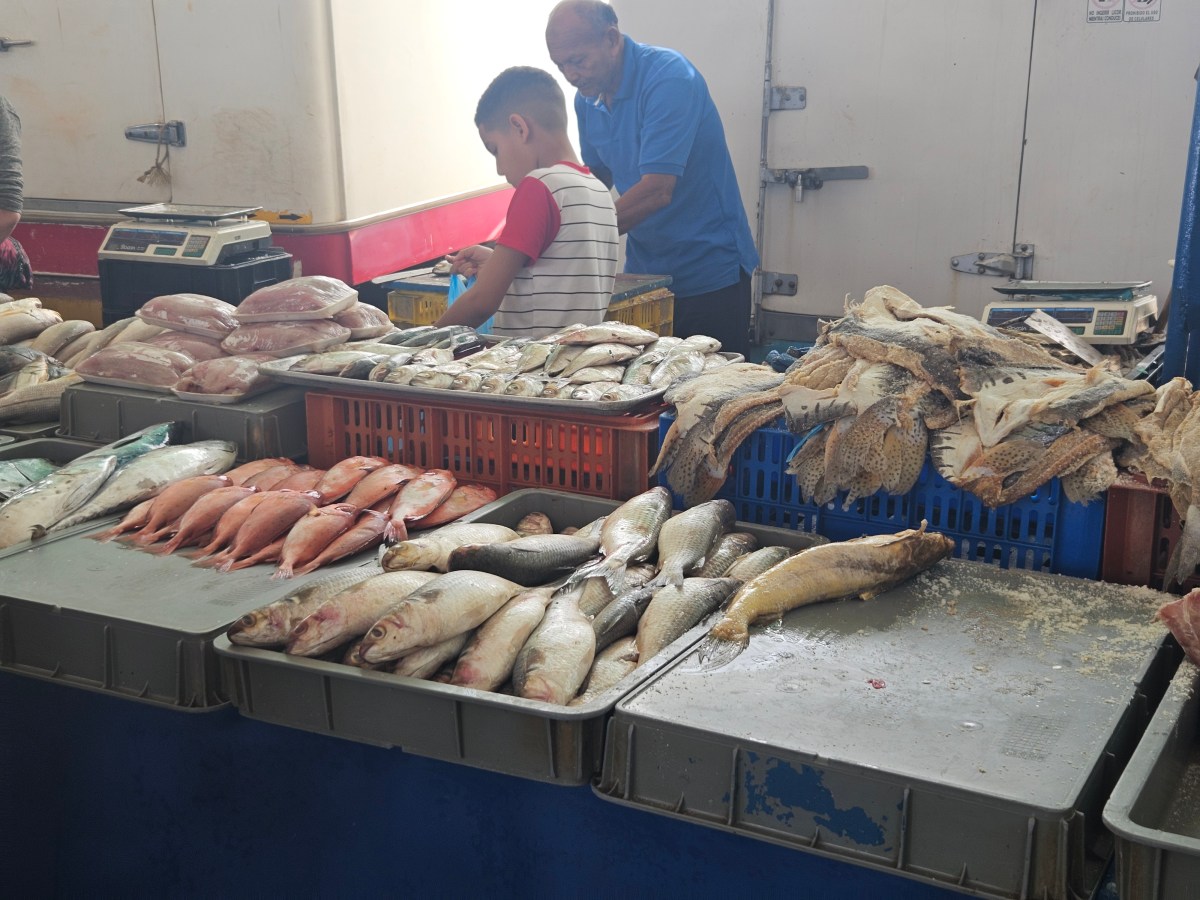 Peregrinar para comprar pescado barato se ha vuelto un ritual obligado en Semana Santa