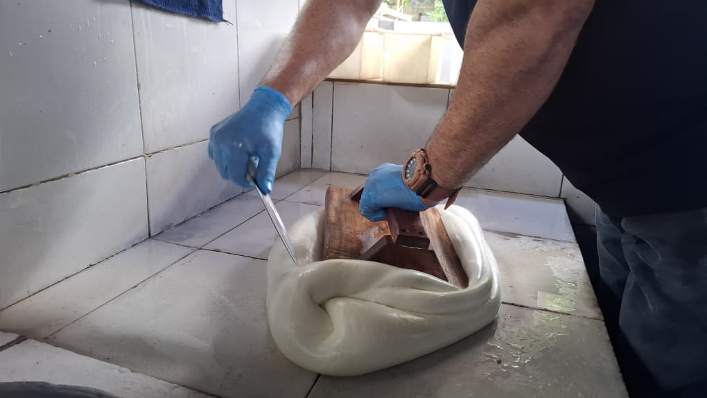 Queso guayanés inicia camino para obtener su denominación de origen