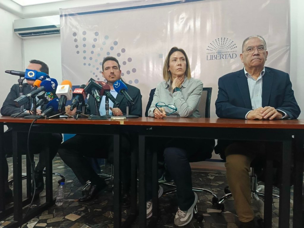 Diputados opositores trabajan en una “reinstitucionalización” previa a cualquier elección