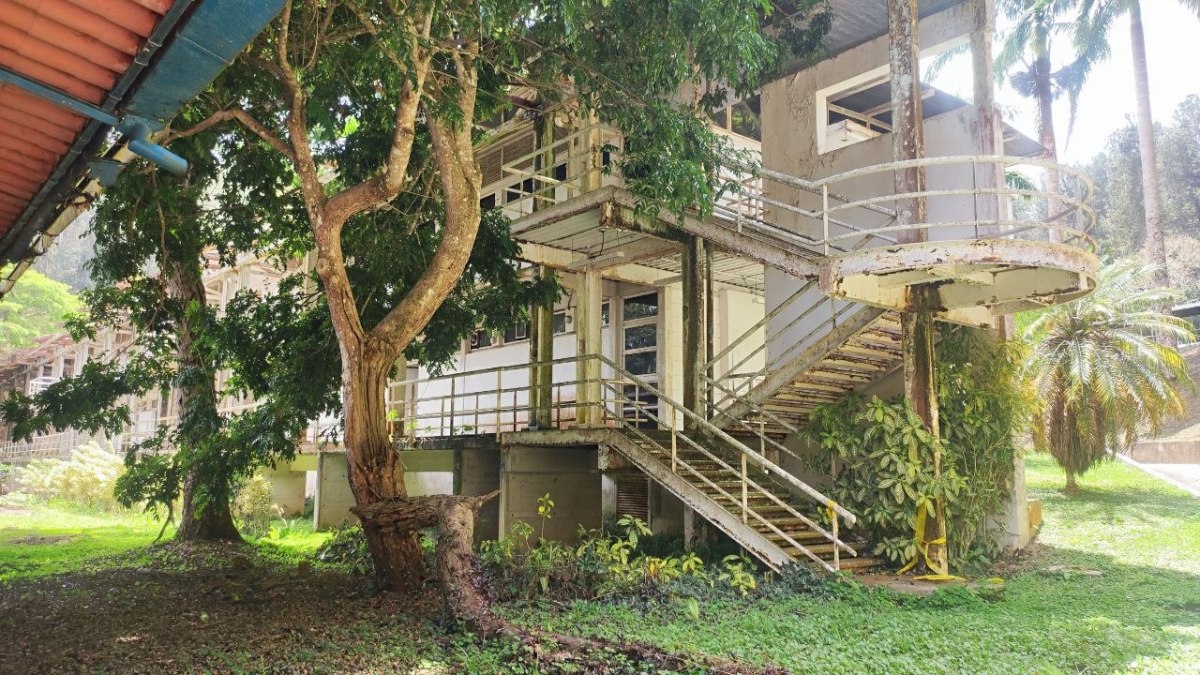 Hongos, techos colapsados y desidia consumen el galpón de biología de la Simón Bolívar