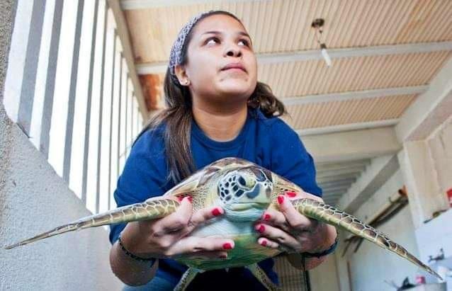 Justicia y conservación: el camino de Daniela Rojas hacia el premio Archie Carr