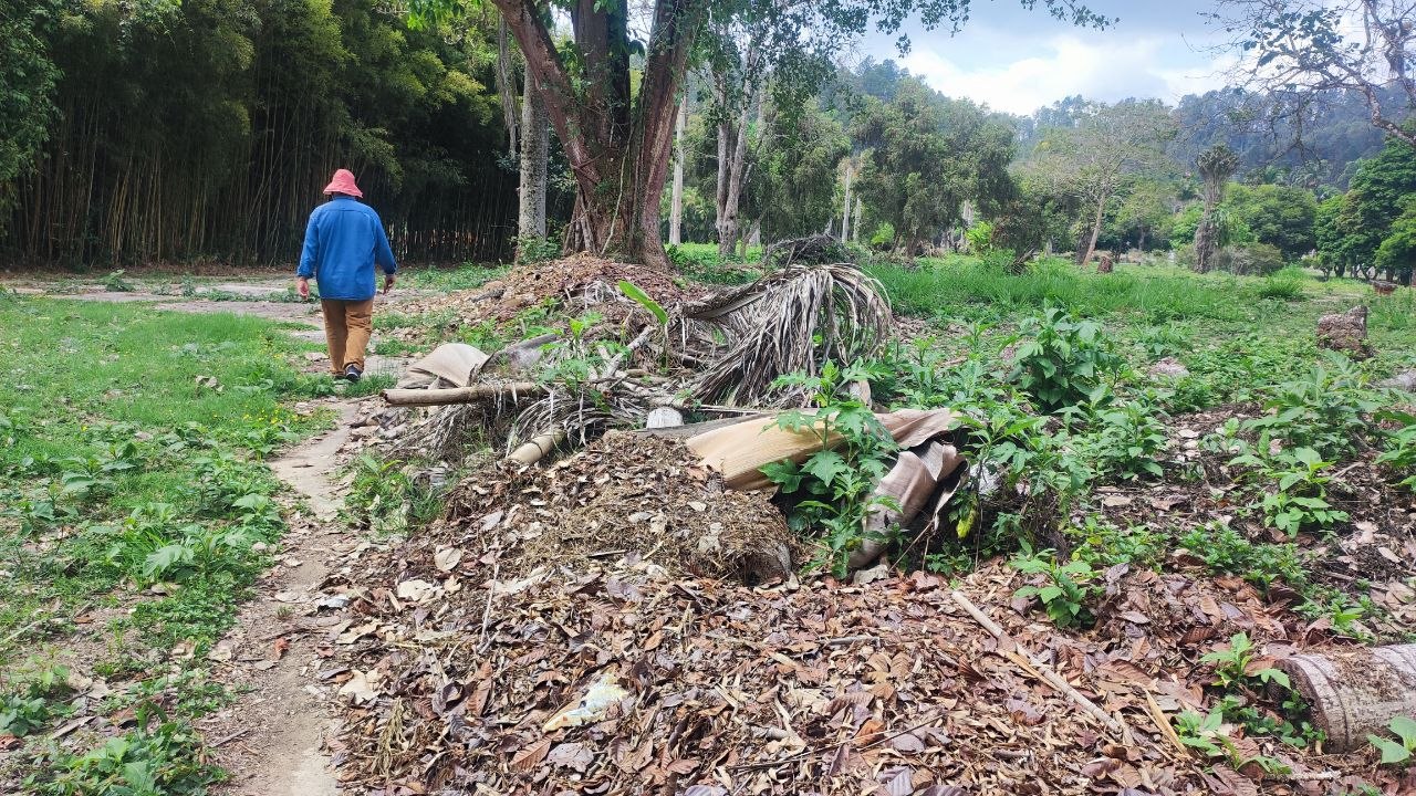 Abandono institucional devora patrimonio cultural e infraestructura de la USB