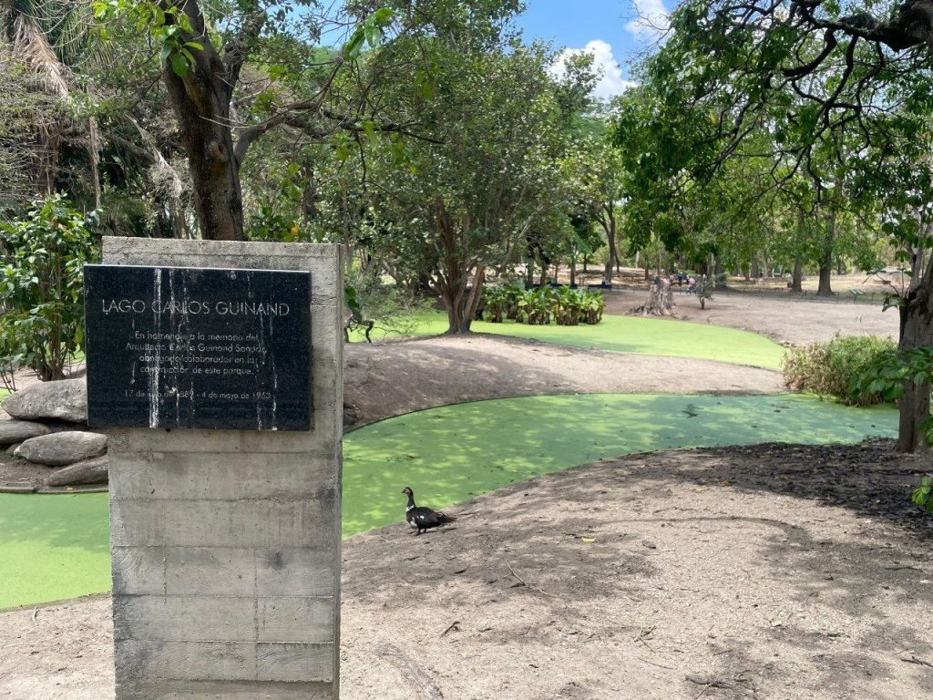 Tras admitir contaminación inician recuperación del lago Carlos Guinand en el Parque del Este