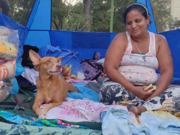 Dueños y rescatistas de La Guaira no dejan atrás a sus mascotas tras los terremotos
