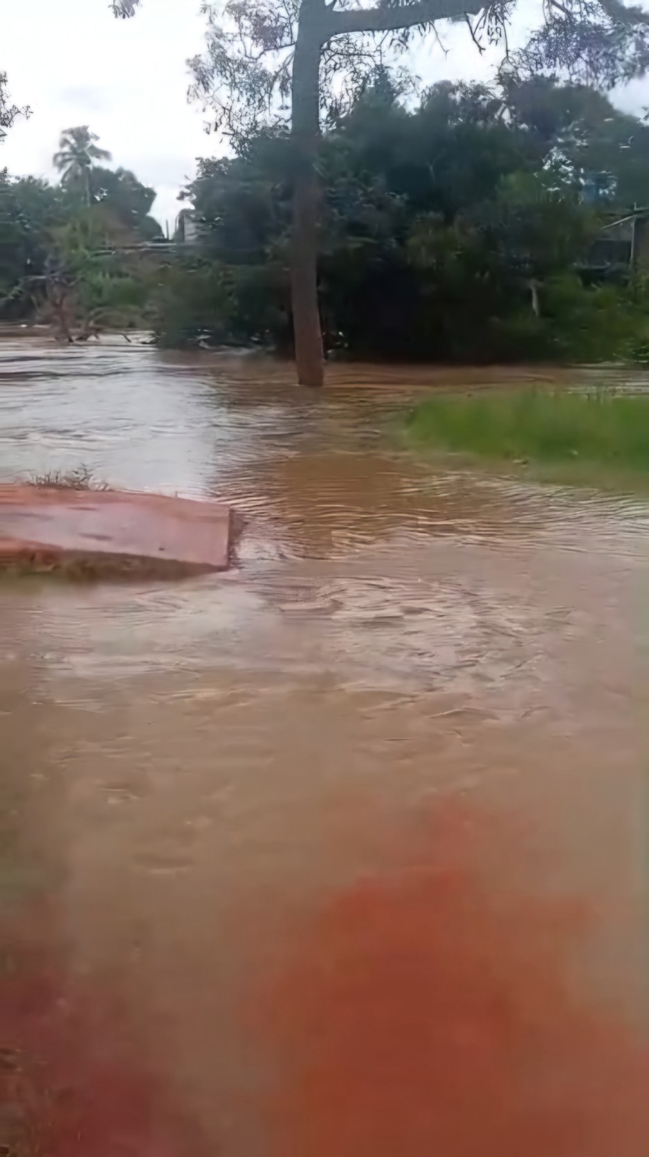 Otras afectaciones 

Por otra parte, el Centro de Comando, Control y Telecomunicaciones VEN 9-1-1 del estado Bolívar reportó una incidencia por inundación en el sector Sabana Linda, en la parroquia Unare de Puerto Ordaz. De acuerdo con el reporte, varias viviendas resultaron afectadas por las lluvias, dejando al menos a 10 personas damnificadas.

Las autoridades mantienen el monitoreo de las zonas vulnerables mientras persisten las condiciones meteorológicas adversas en la entidad.