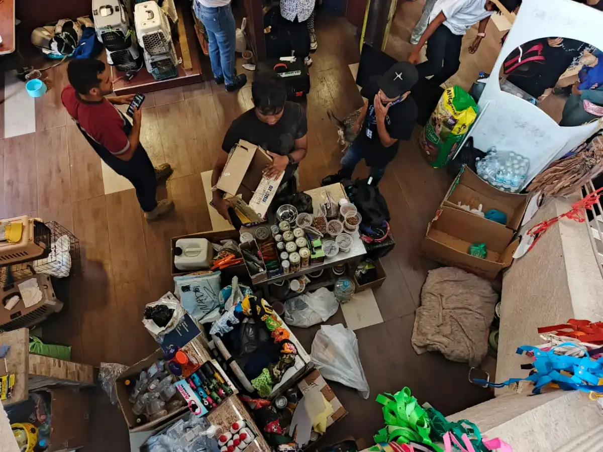 El McDonald’s de Caraballeda: un hospital múltiple con voluntarios que no quieren irse