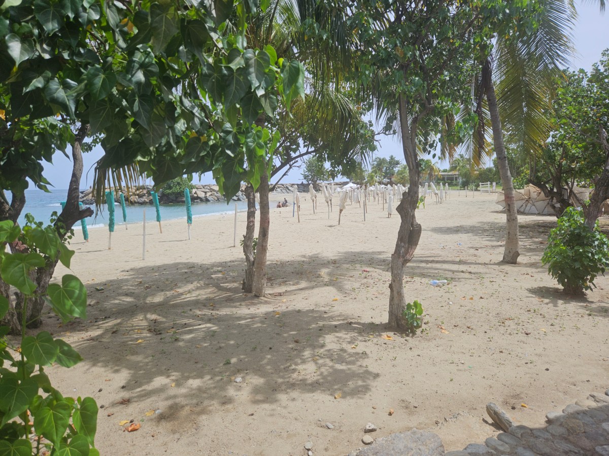 Trabajadores viven de la chatarra mientras esperan el regreso de turistas a un mes de los sismos en La Guaira