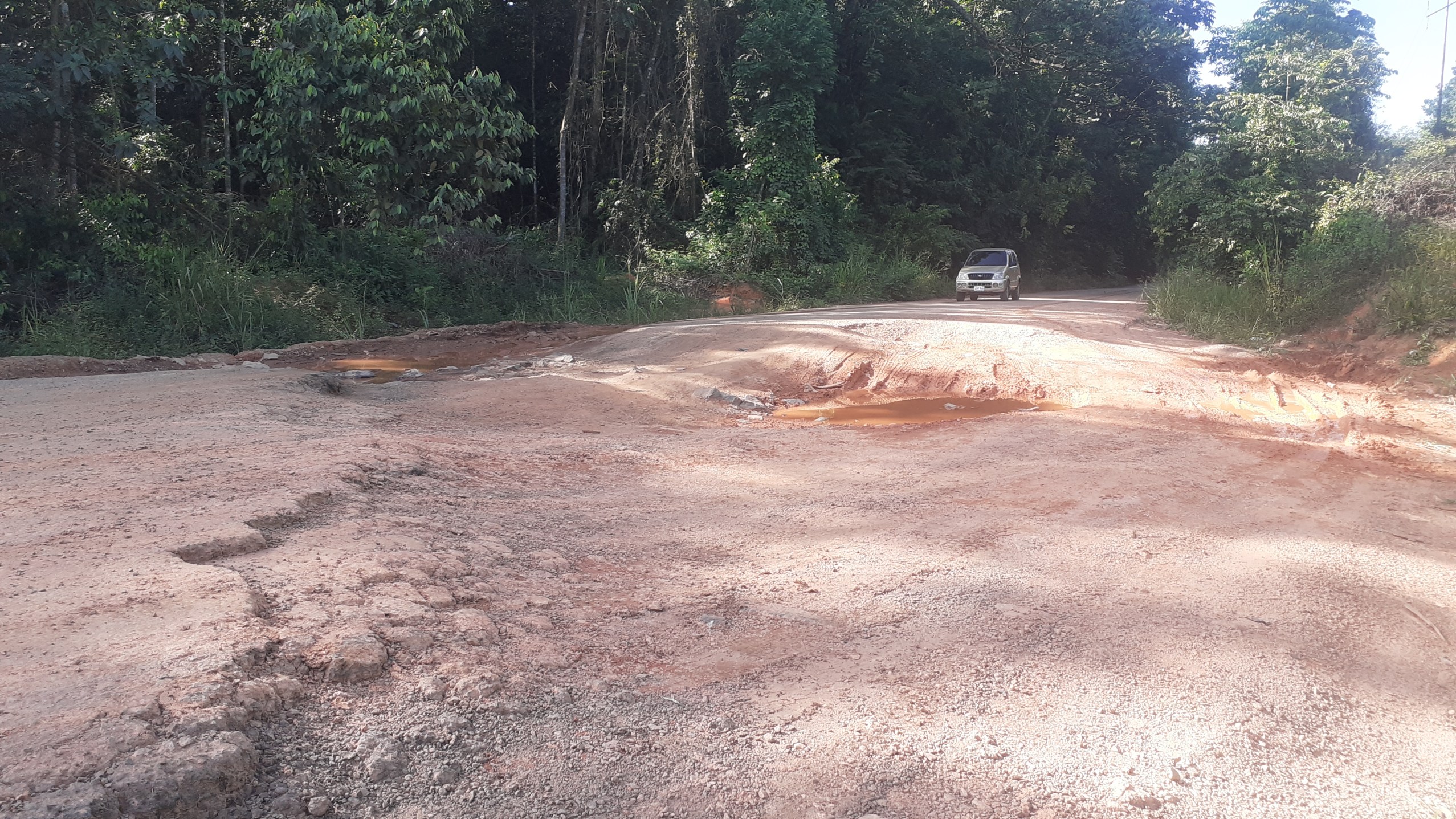Productores en Bolívar denuncian que tienen dos meses sin gasoil 