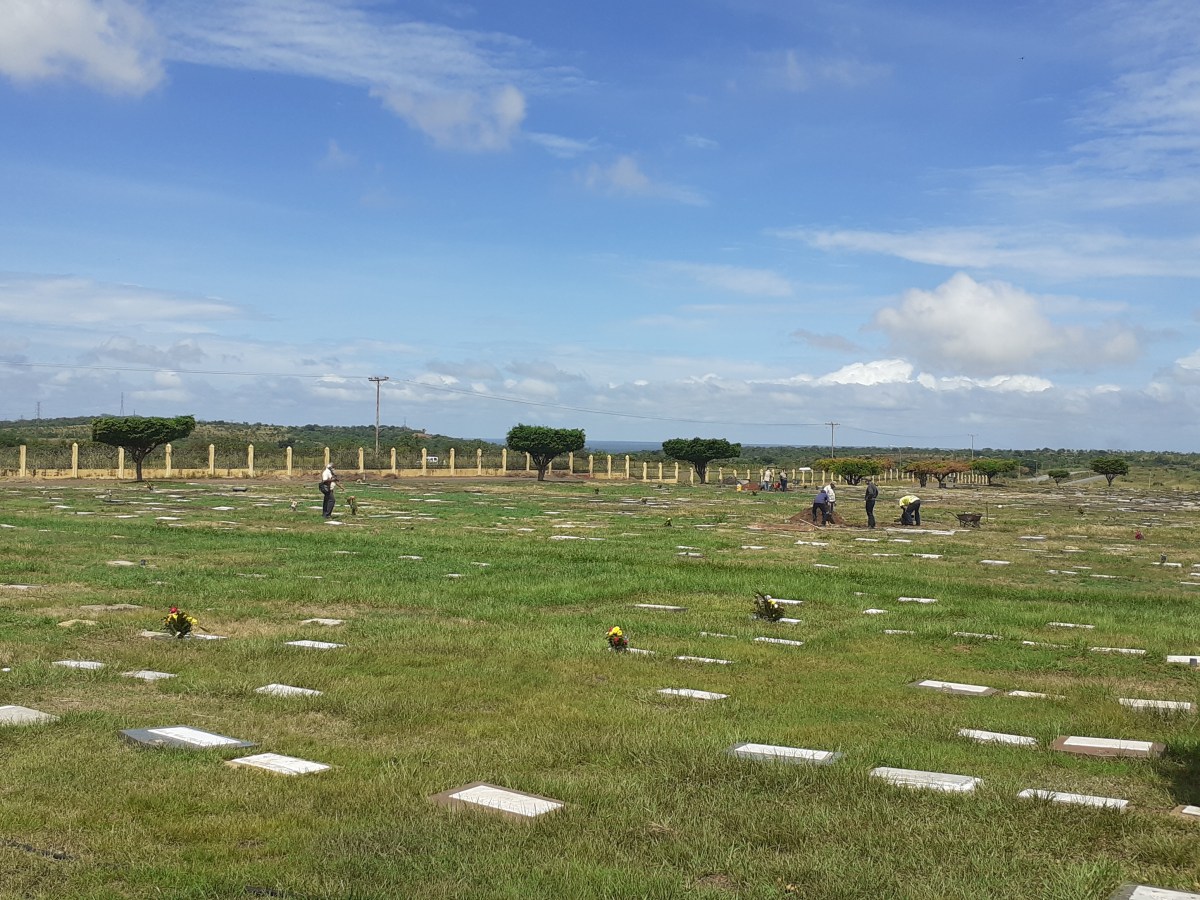 Bosque de Vida: de cementerio convencional a uno ecológico en Guayana