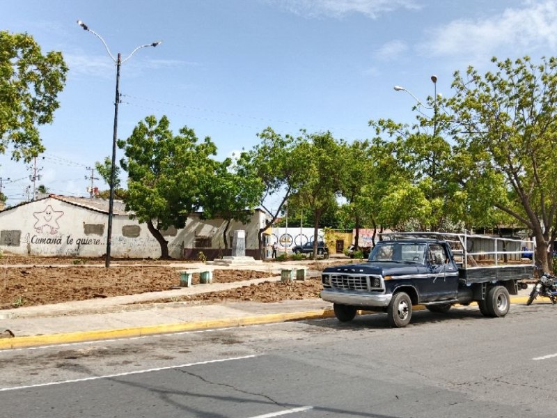 Ambientalistas alertan por tala de árboles históricos en el centro de Cumaná